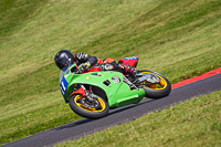 Vintage-motorcycle-club;eventdigitalimages;mallory-park;mallory-park-trackday-photographs;no-limits-trackdays;peter-wileman-photography;trackday-digital-images;trackday-photos;vmcc-festival-1000-bikes-photographs